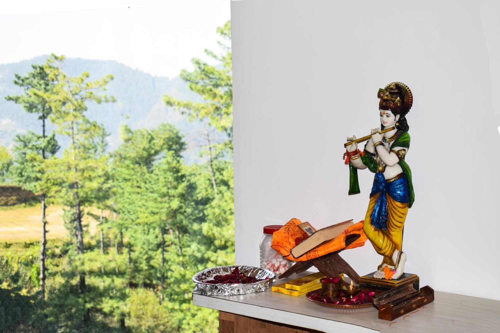 Royal Green Mashobra - Mountain And Valley View Rooms シムラー エクステリア 写真